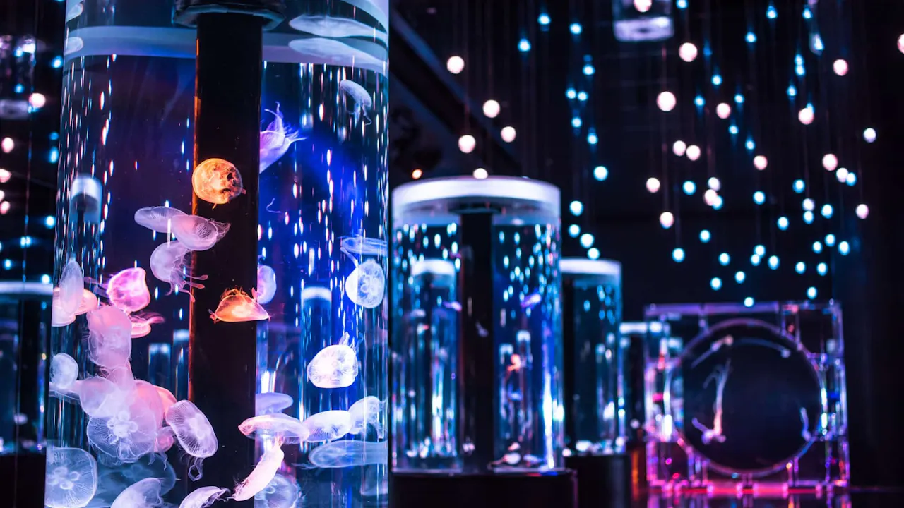 Maxell Aqua Park Shinagawa Location