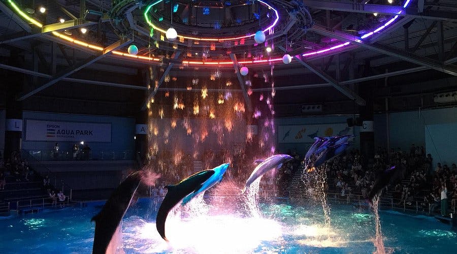 Maxell Aqua Park Shinagawa Price