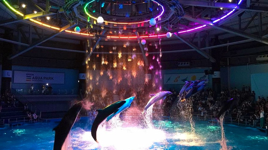 Maxell Aqua Park Shinagawa Price