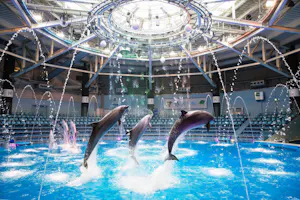 Maxell Aqua Park Shinagawa