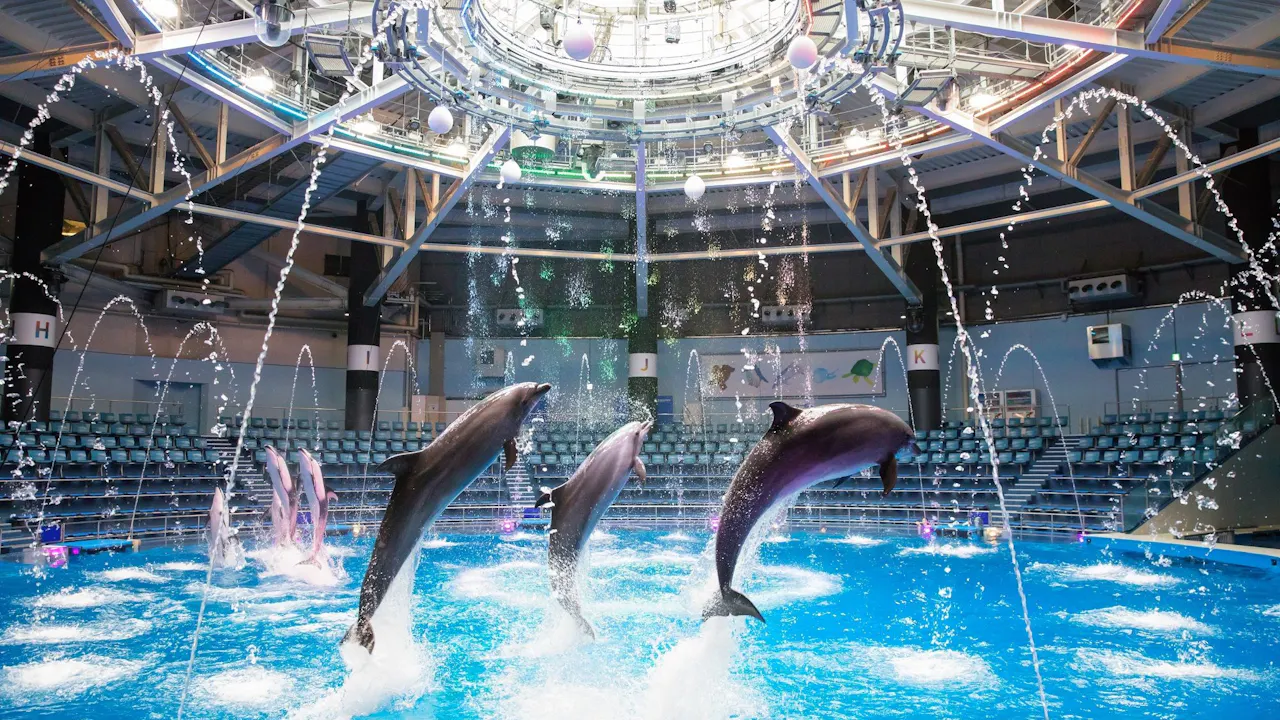 Maxell Aqua Park Shinagawa