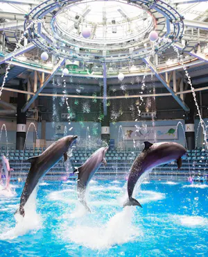 Maxell Aqua Park Shinagawa