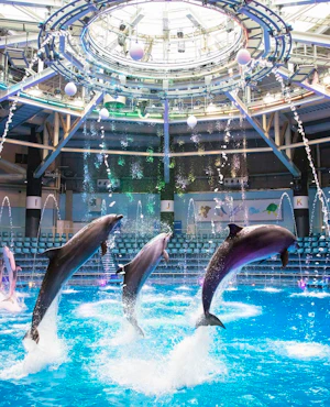 Maxell Aqua Park Shinagawa