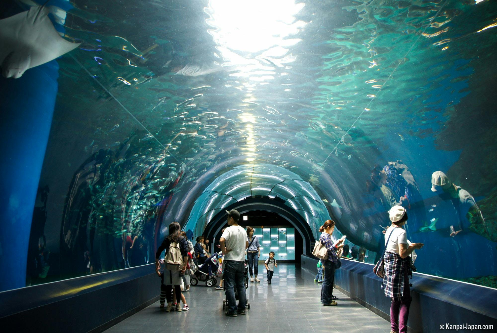 Maxell Aqua Park Shinagawa Price