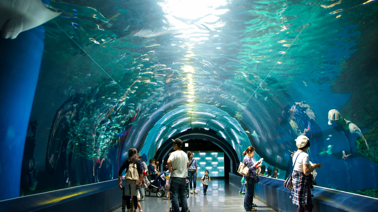Maxell Aqua Park Shinagawa Price
