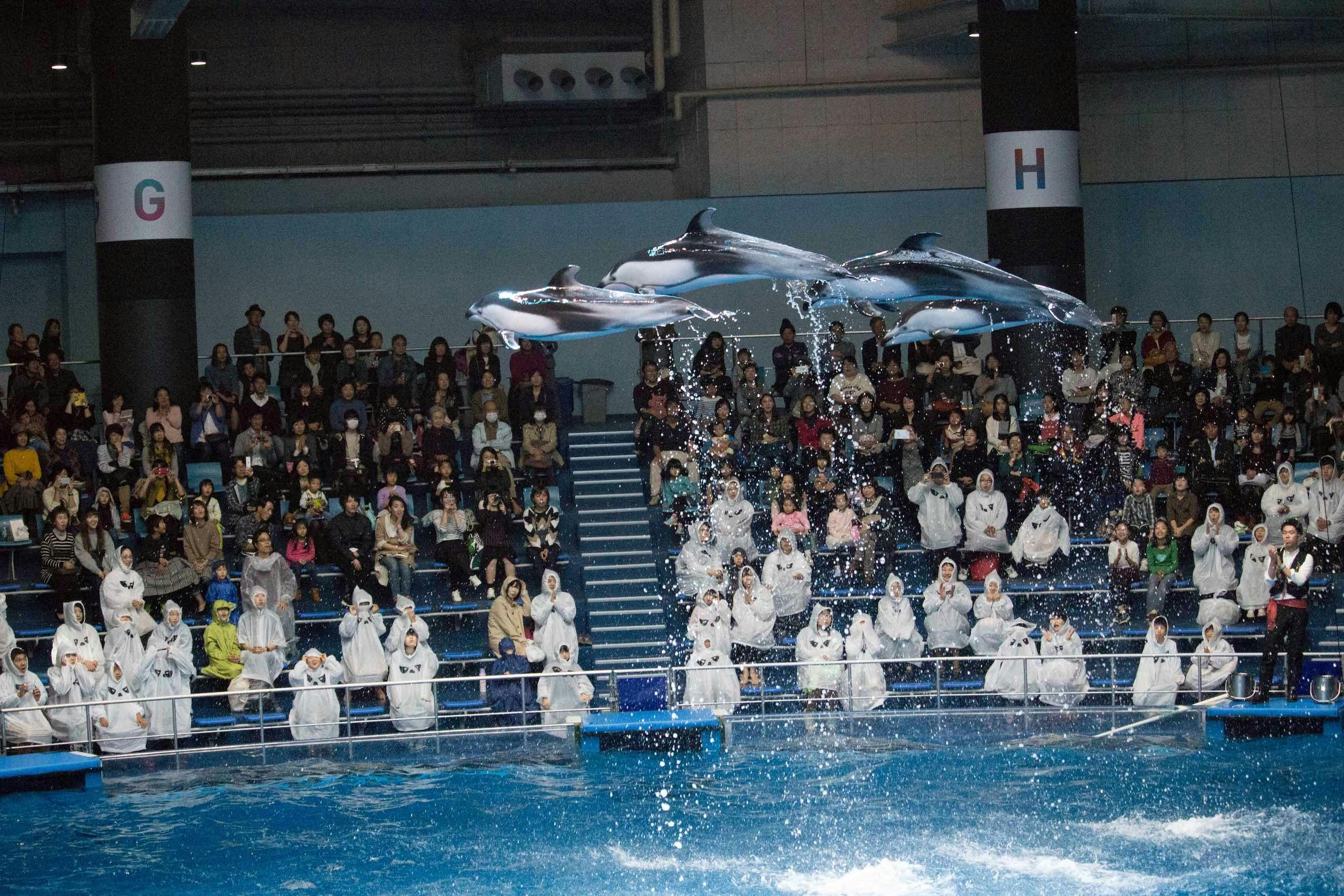 Maxell Aqua Park Shinagawa Location