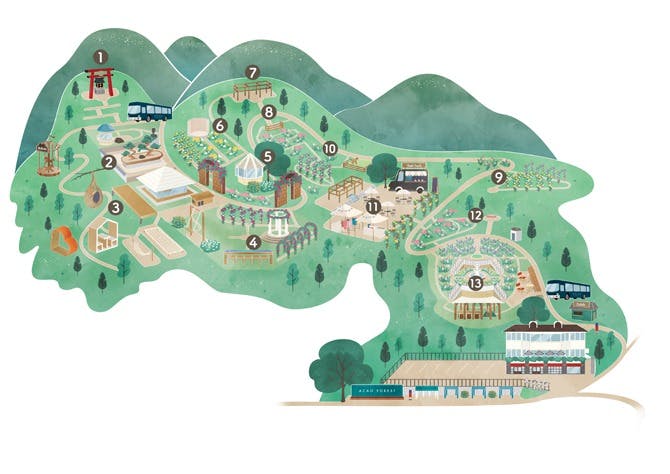 Acao Forest tickets  Ticket