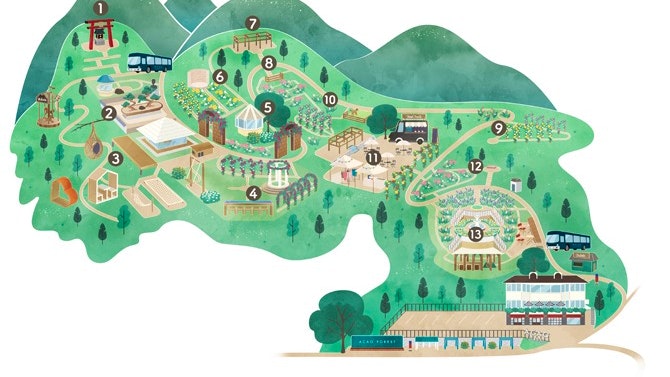 Acao Forest tickets Ticket