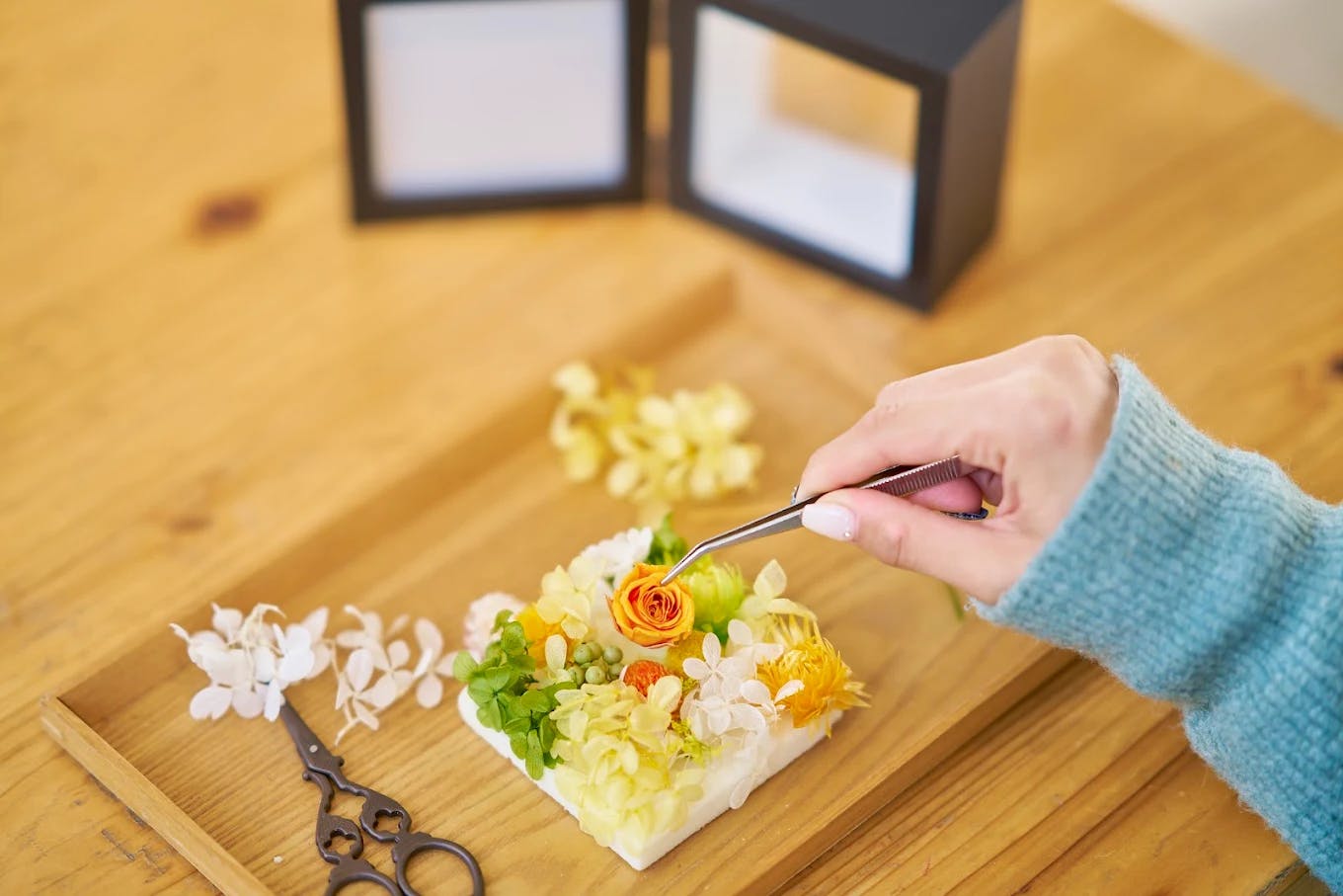 Acao Forest tickets  Thrillark