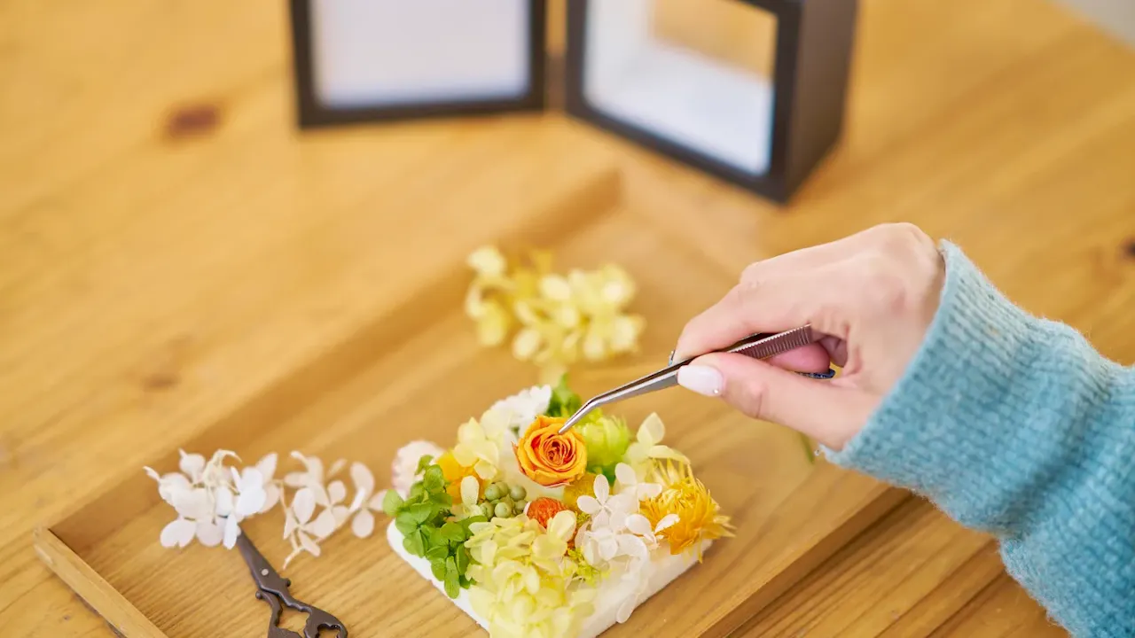 Acao Forest tickets Thrillark