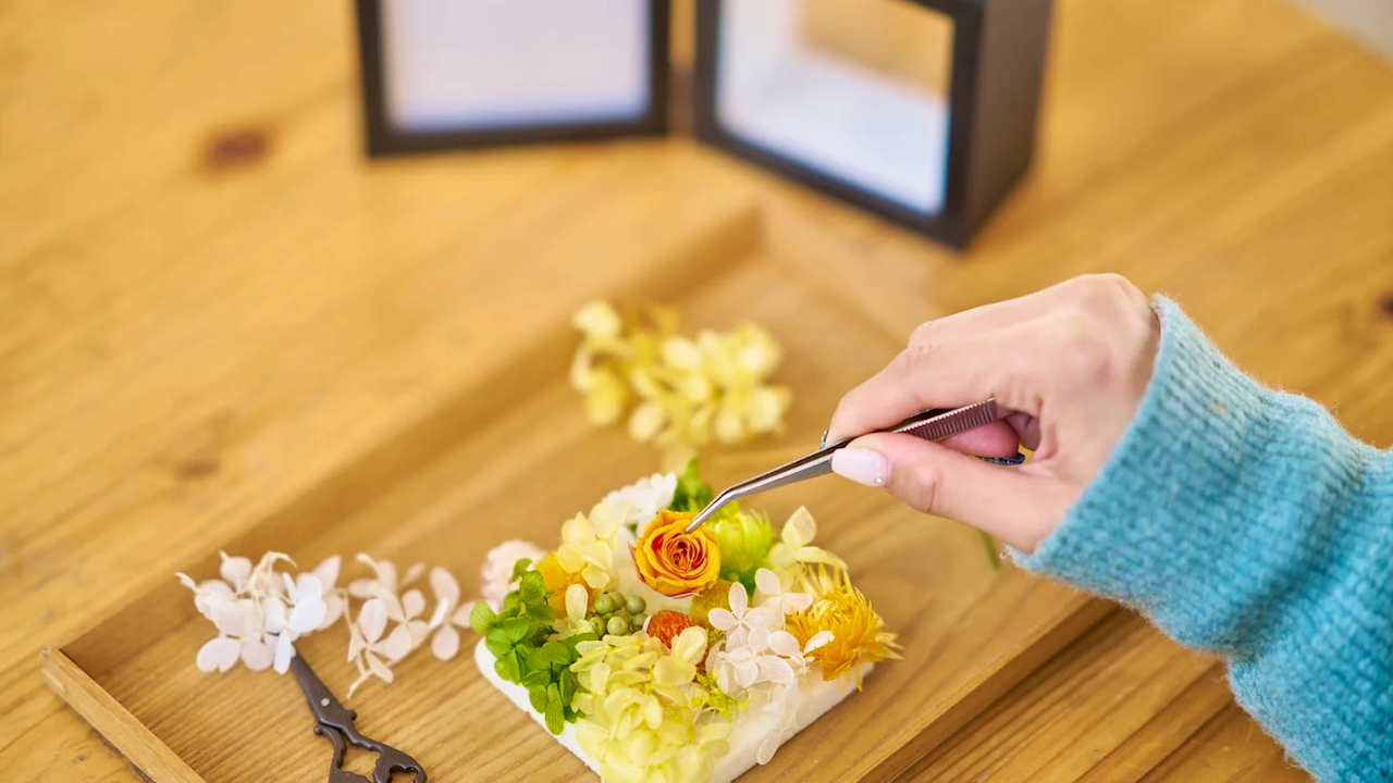 Acao Forest tickets Thrillark