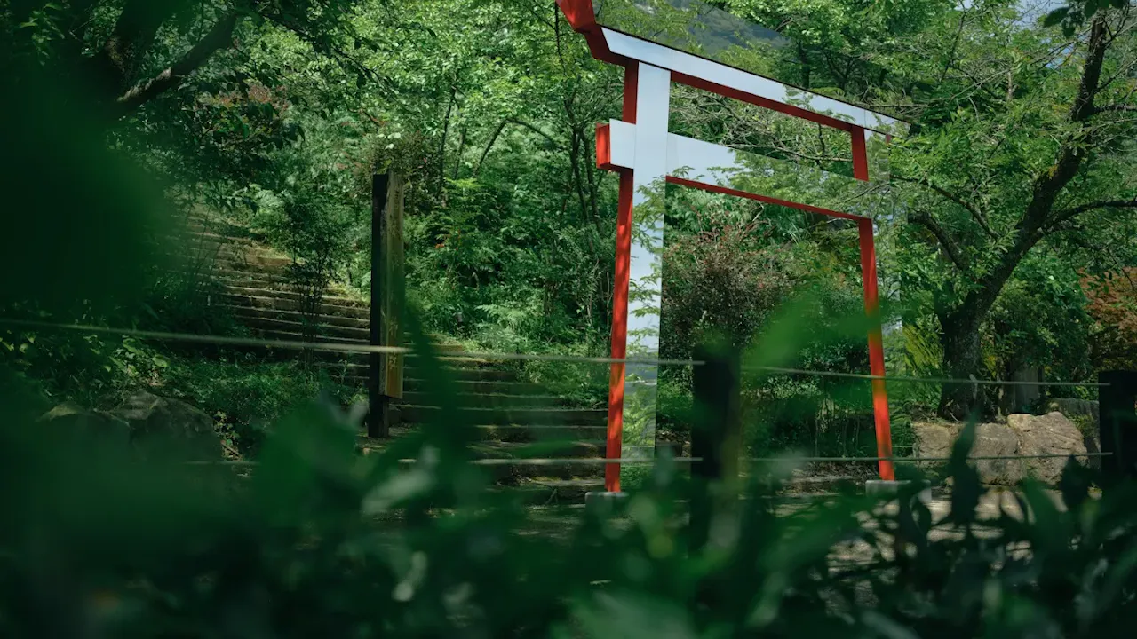 Acao Forest tickets Location