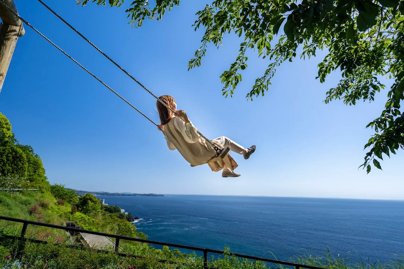 Acao Forest tickets  Discount