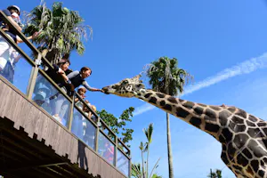 Wakayama Adventure World Tickets