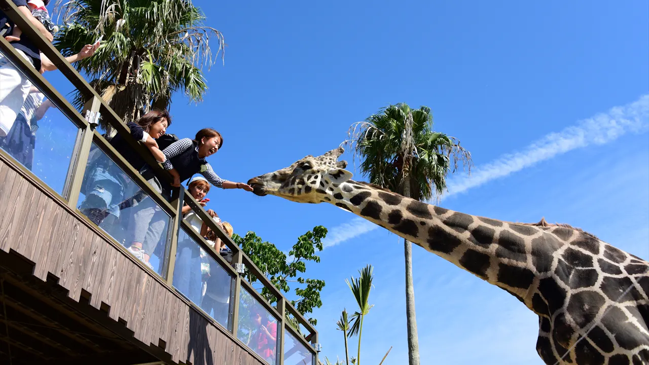 Wakayama Adventure World Tickets