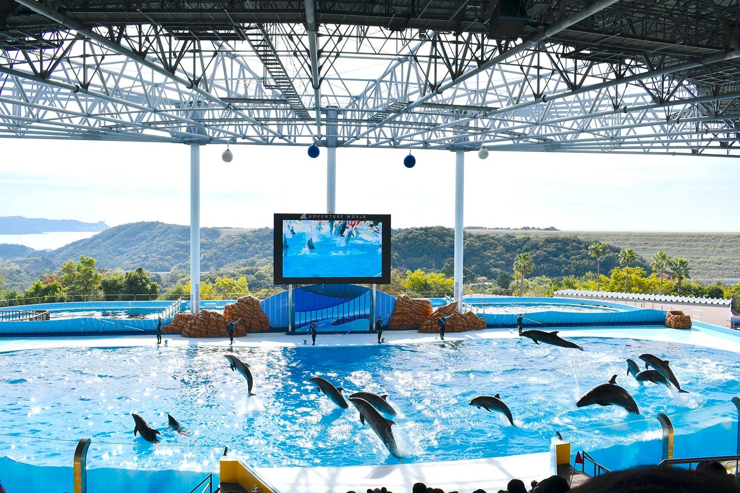 Wakayama Adventure World Tickets Category