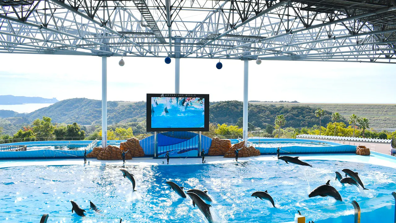 Wakayama Adventure World Tickets Category