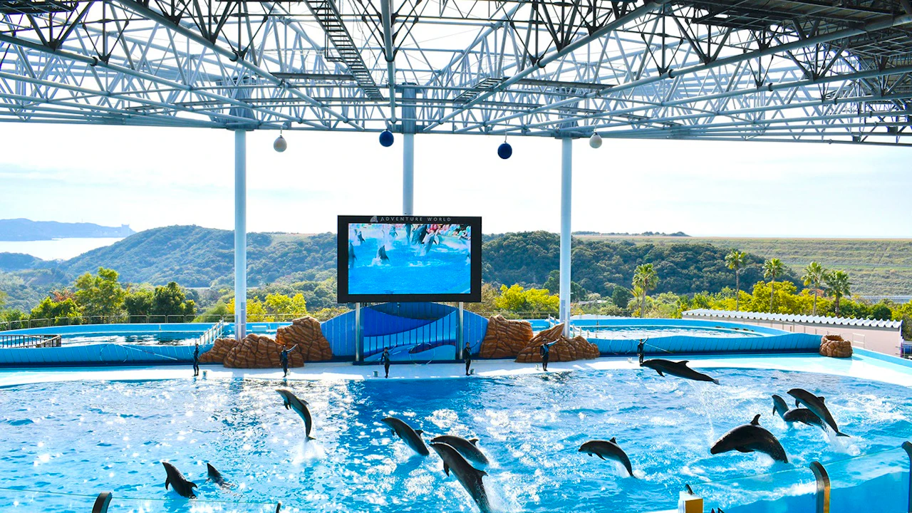 Wakayama Adventure World Tickets Category