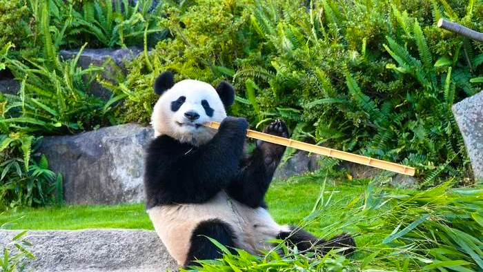 Wakayama Adventure World Tickets Price