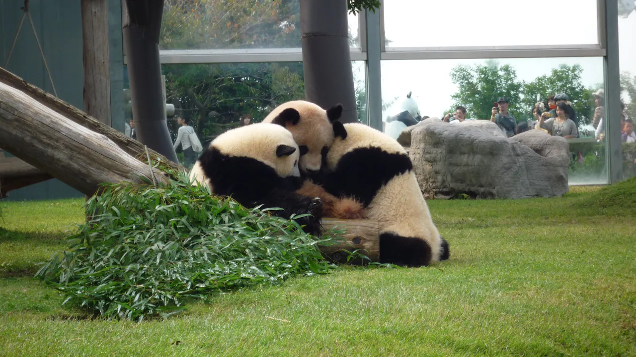 Wakayama Adventure World Tickets