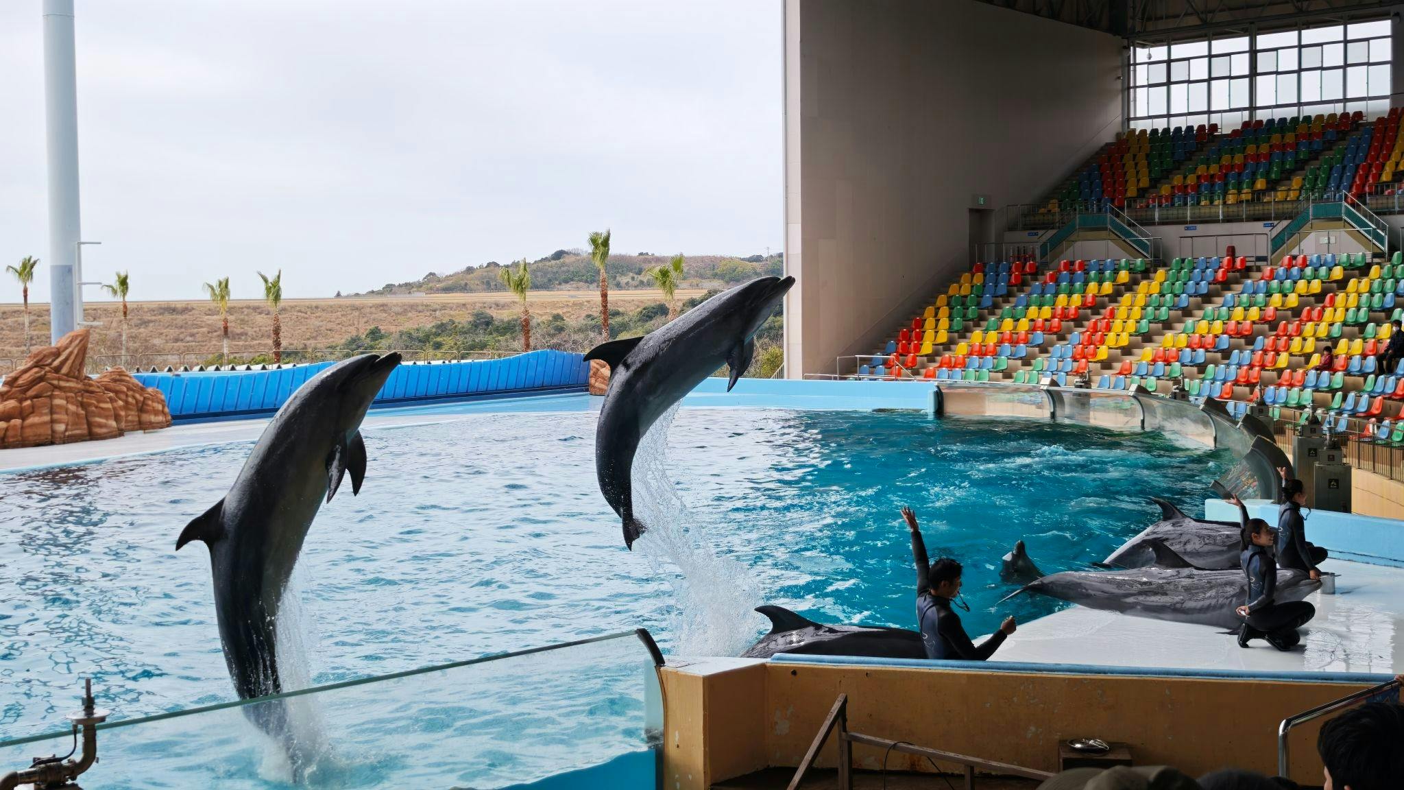 Wakayama Adventure World Tickets Thrillark