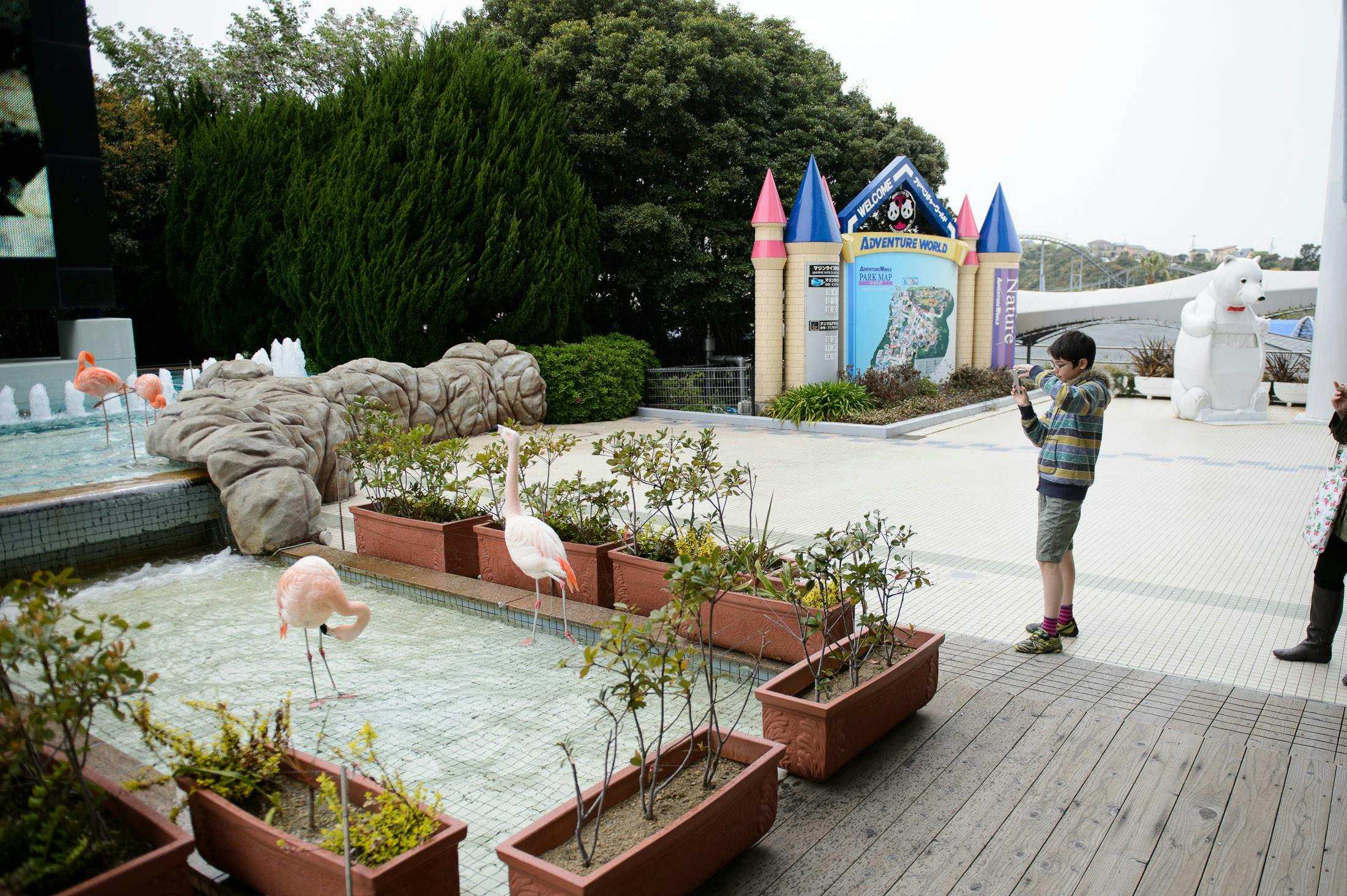 Wakayama Adventure World Tickets 