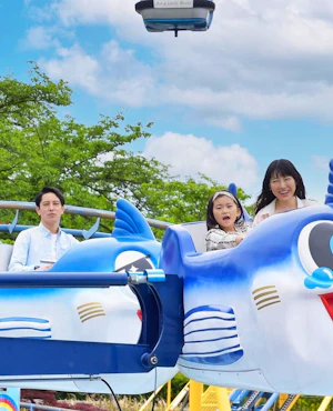 Yomiuri Land Amusement Park Ticket