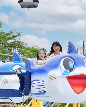 Yomiuri Land Amusement Park Ticket