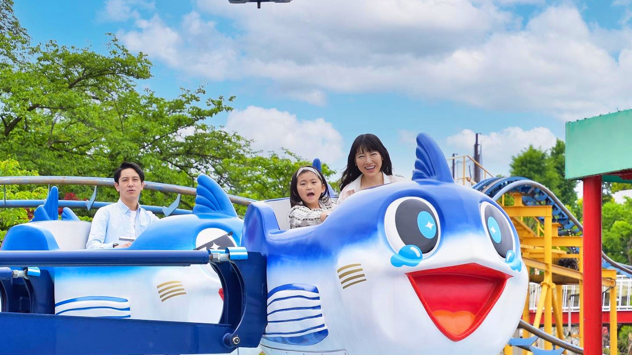 Yomiuri Land Amusement Park Ticket Category