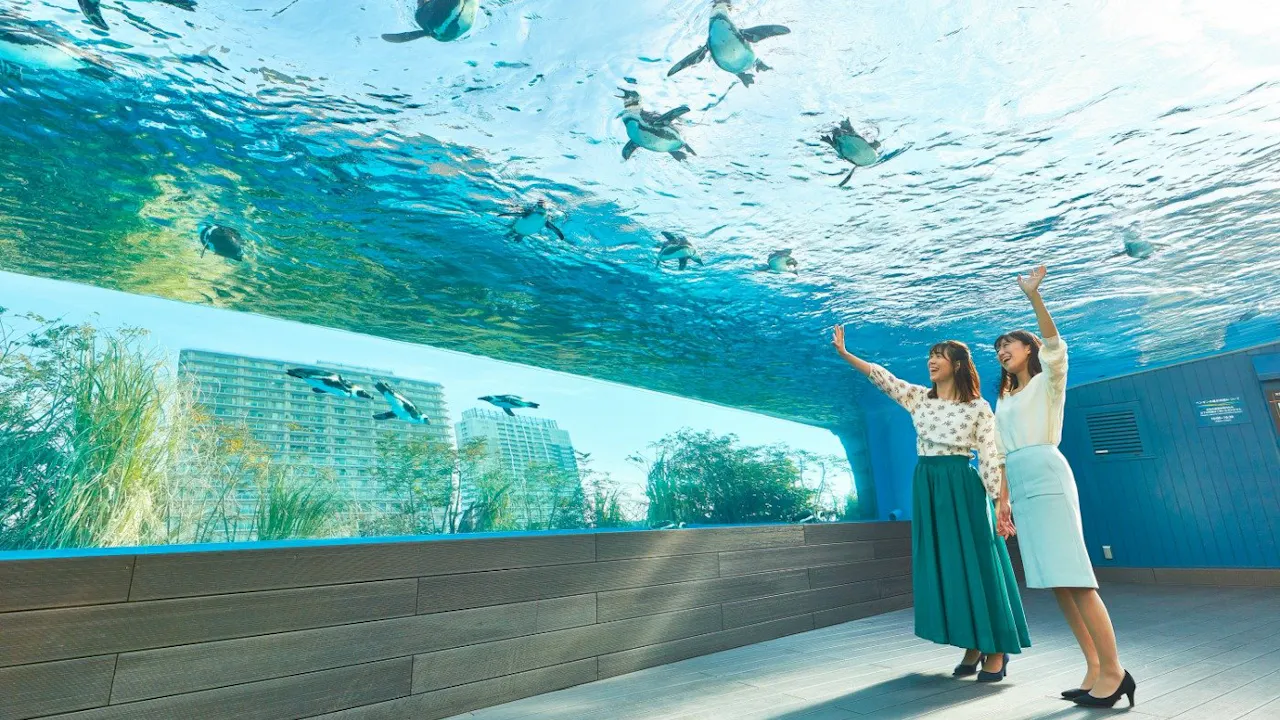 Sunshine Aquarium Tokyo Tickets Location