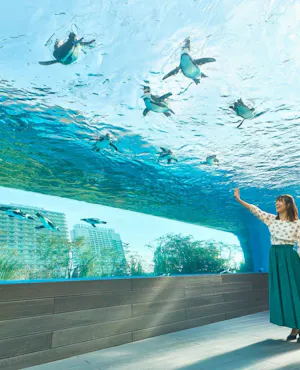 Sunshine Aquarium Tokyo Tickets