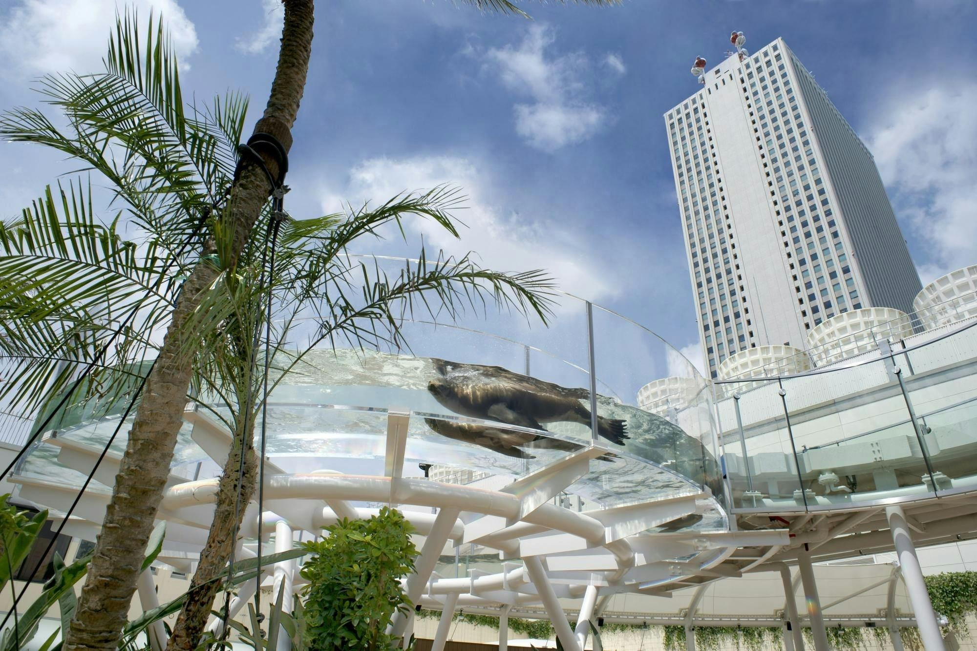 Sunshine Aquarium Tokyo Tickets Category