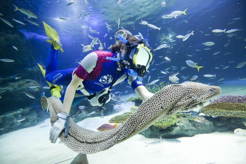 Sunshine Aquarium Tokyo Tickets