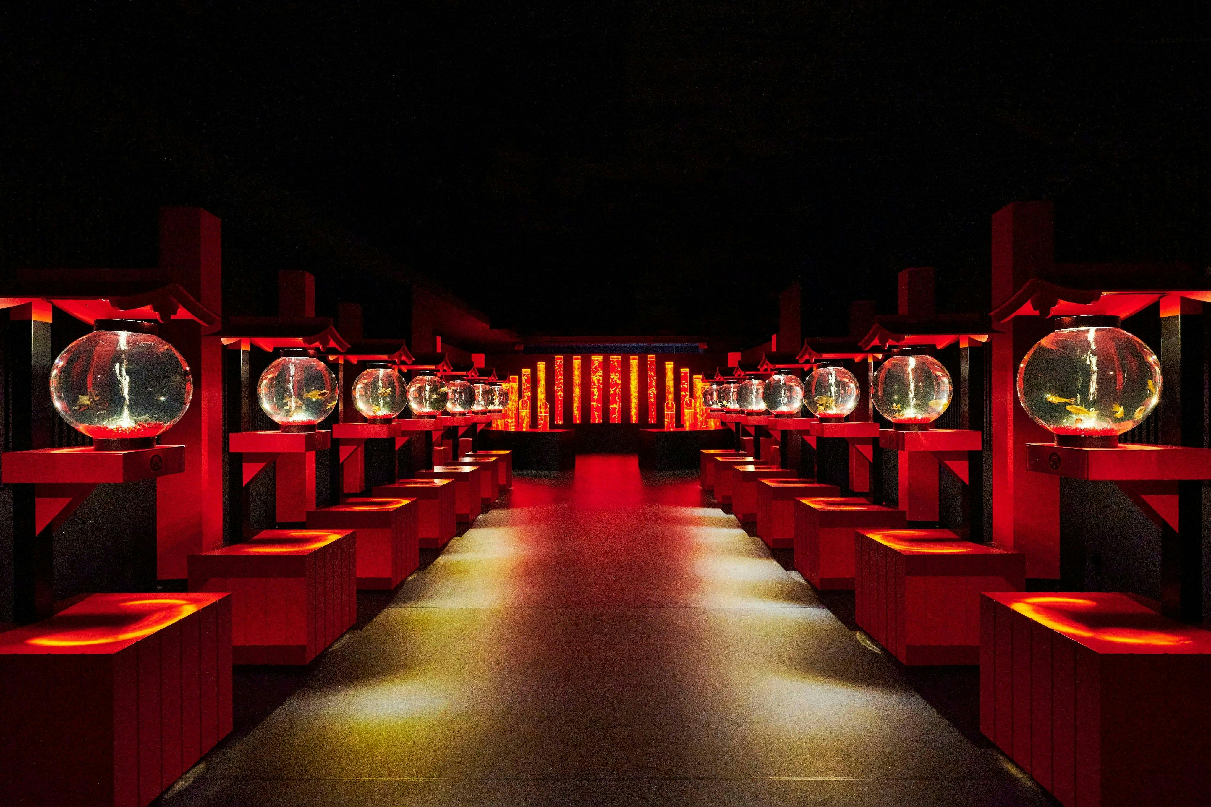 Art Aquarium Museum Tokyo Tickets Thrillark