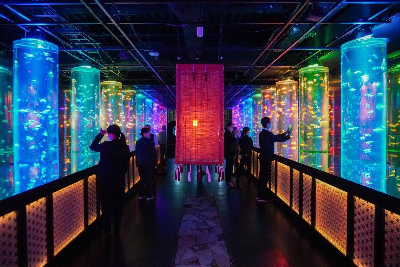 Art Aquarium Museum Tokyo Tickets