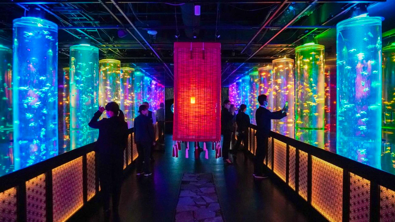 Art Aquarium Museum Tokyo Tickets