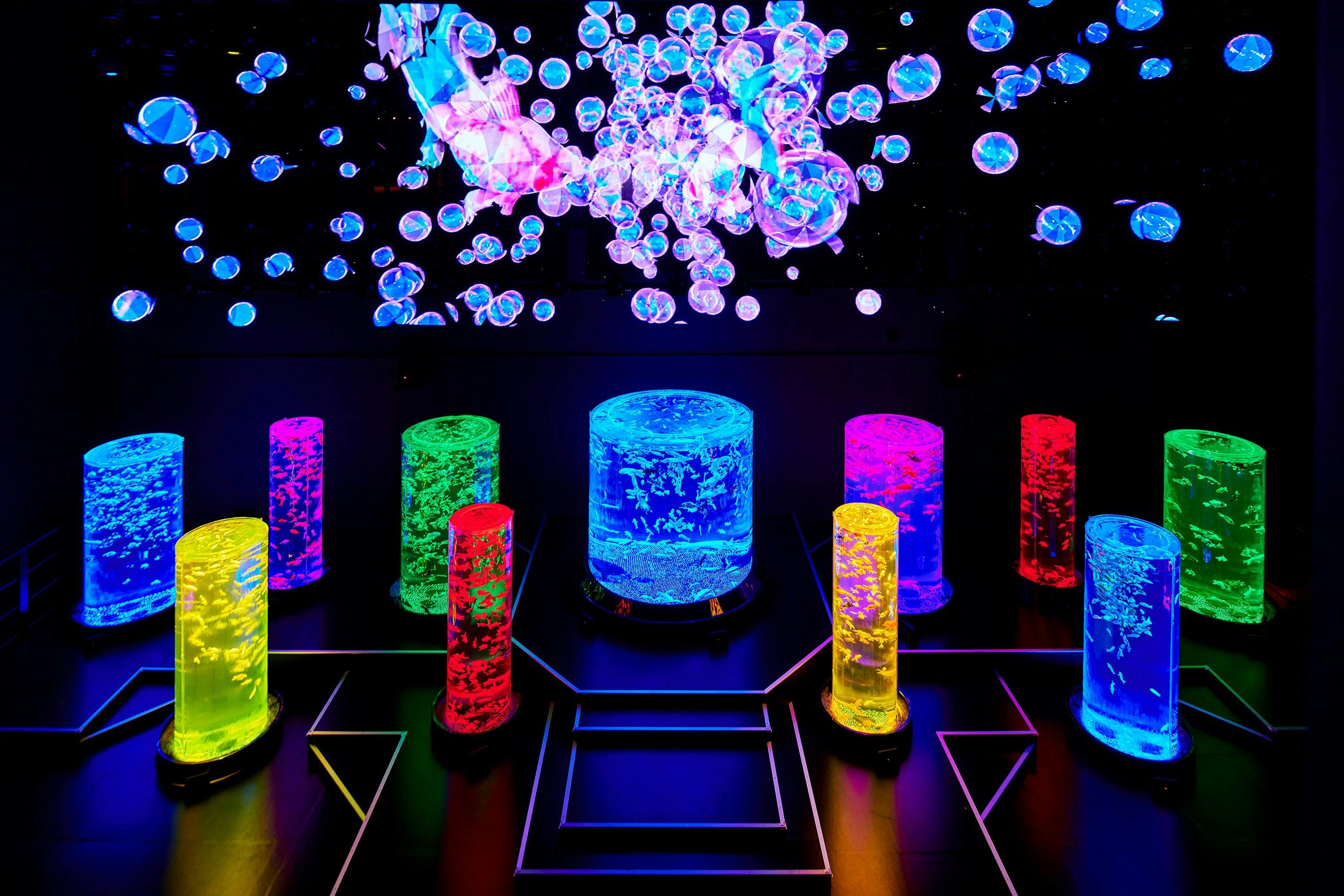 Art Aquarium Museum Tokyo Tickets Category