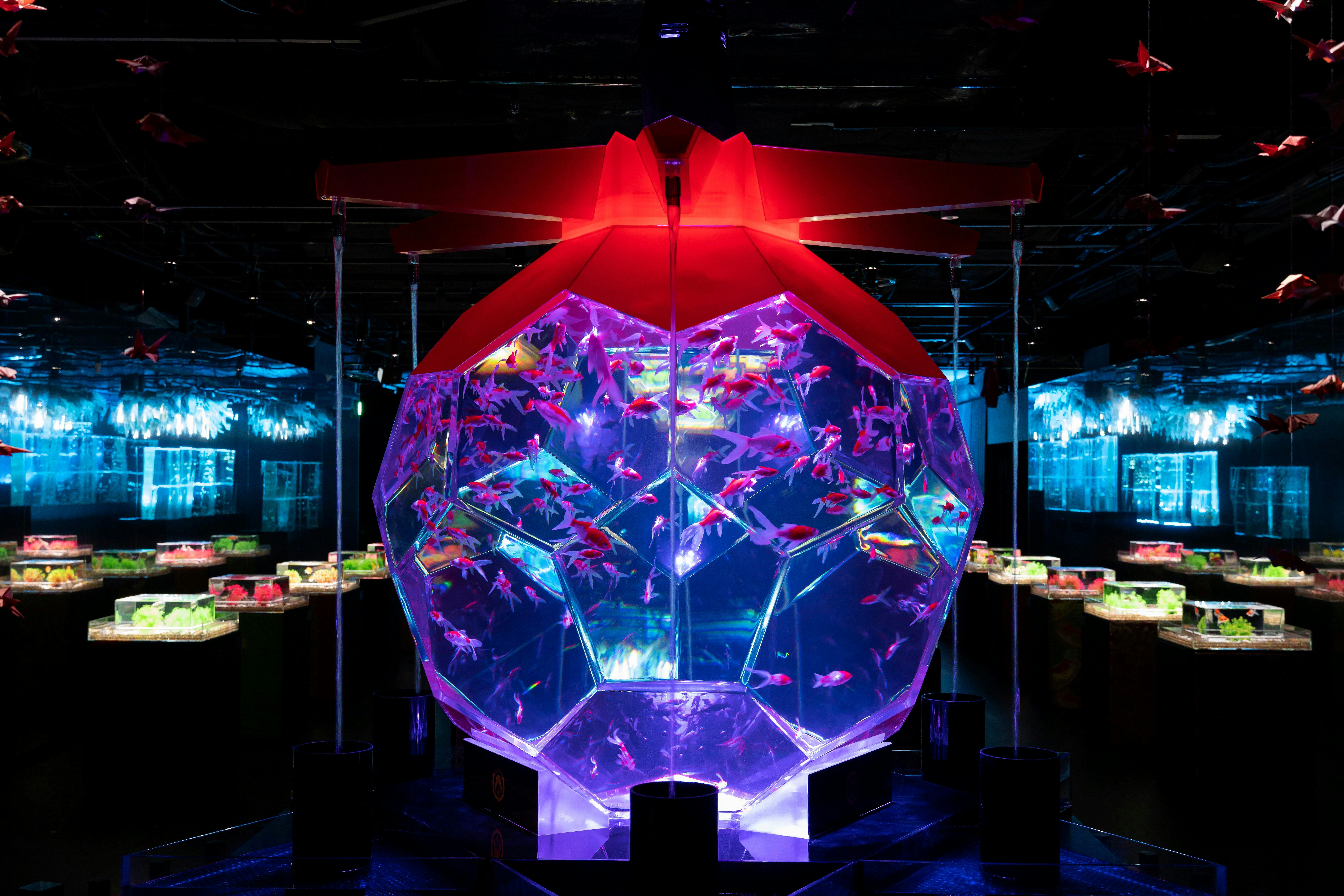 Art Aquarium Museum Tokyo Tickets 