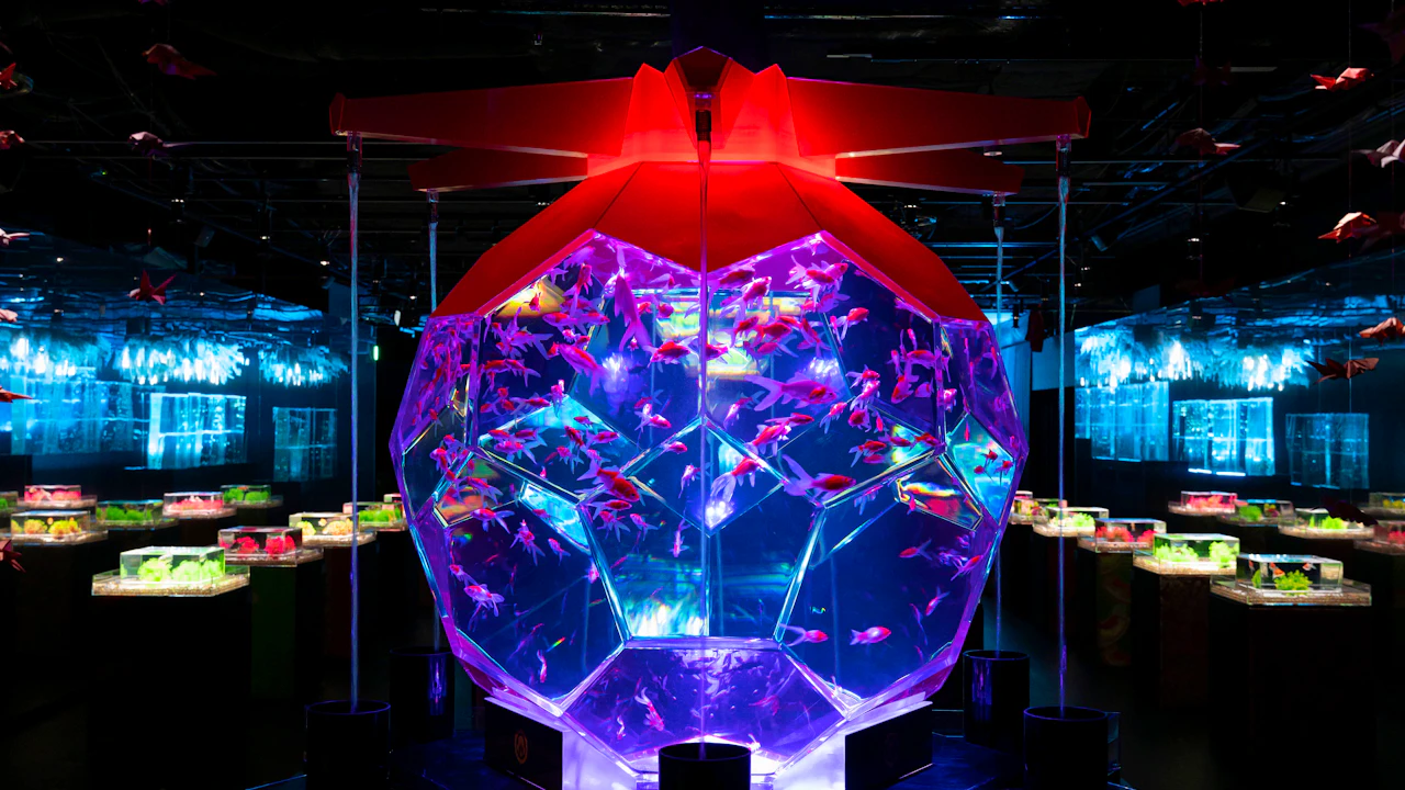 Art Aquarium Museum Tokyo Tickets