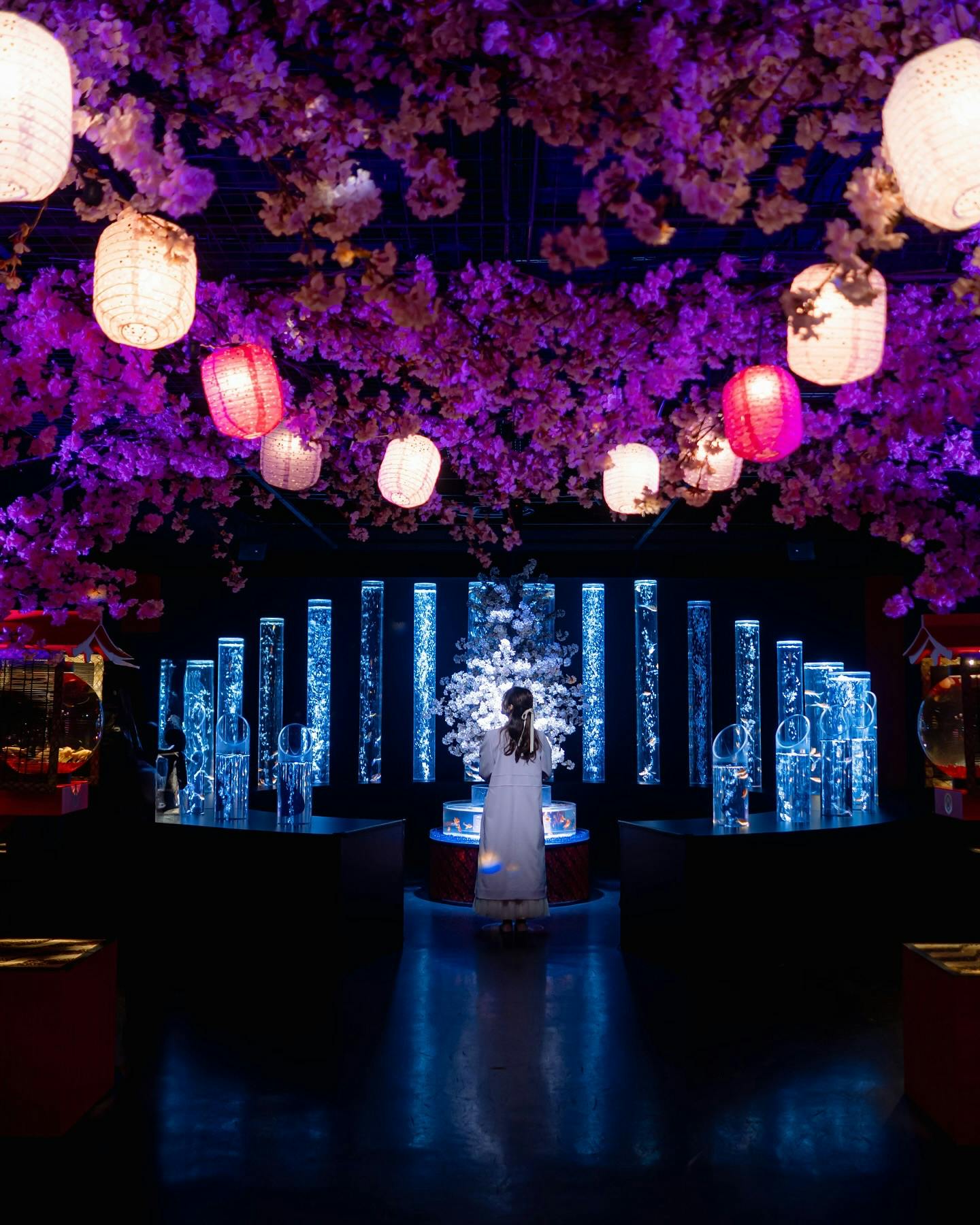 Art Aquarium Museum Tokyo Tickets Price