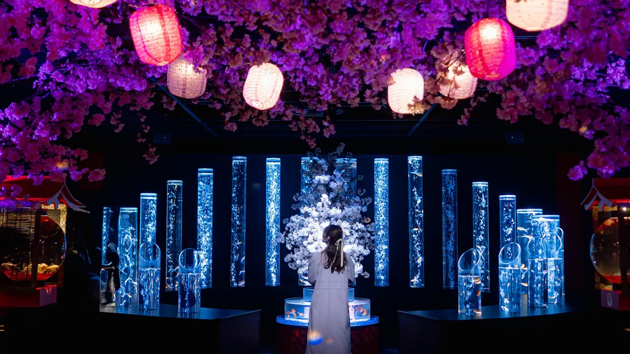 Art Aquarium Museum Tokyo Tickets Price
