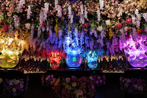 Art Aquarium Museum Tokyo Tickets