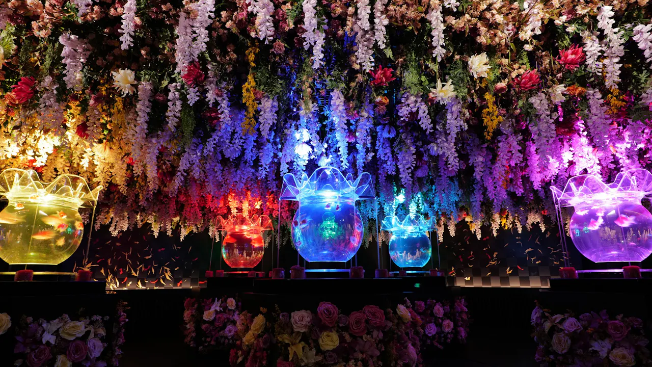 Art Aquarium Museum Tokyo Tickets