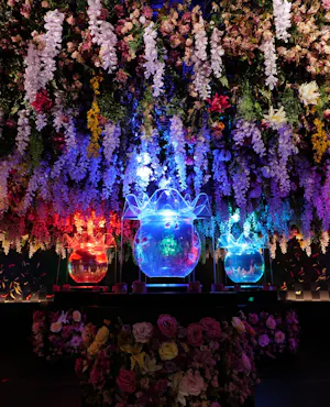 Art Aquarium Museum Tokyo Tickets