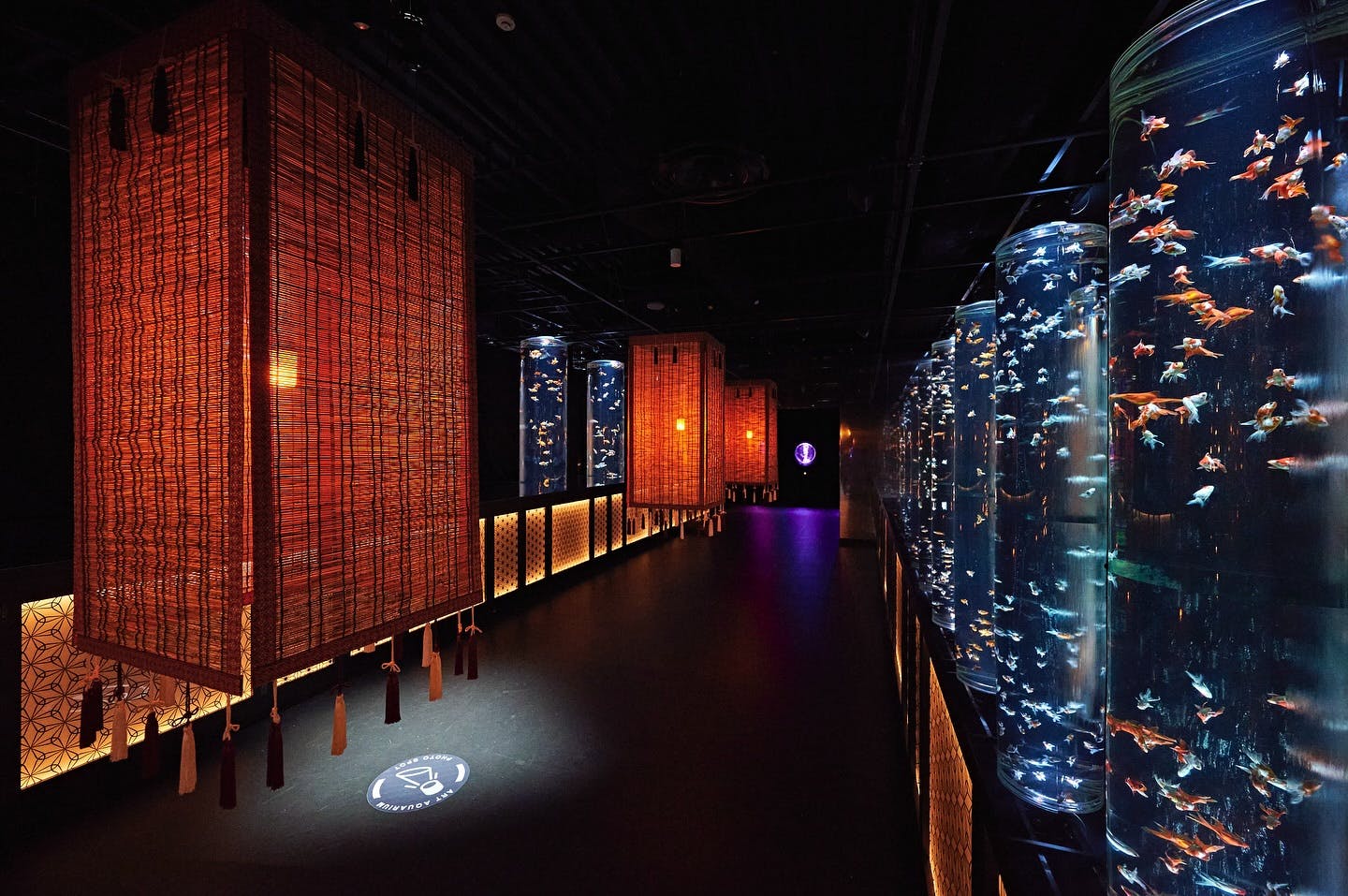 Art Aquarium Museum Tokyo Tickets Discount