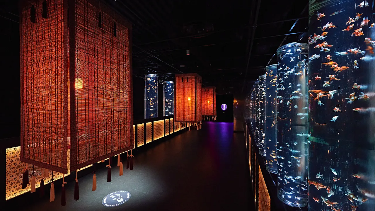 Art Aquarium Museum Tokyo Tickets Discount