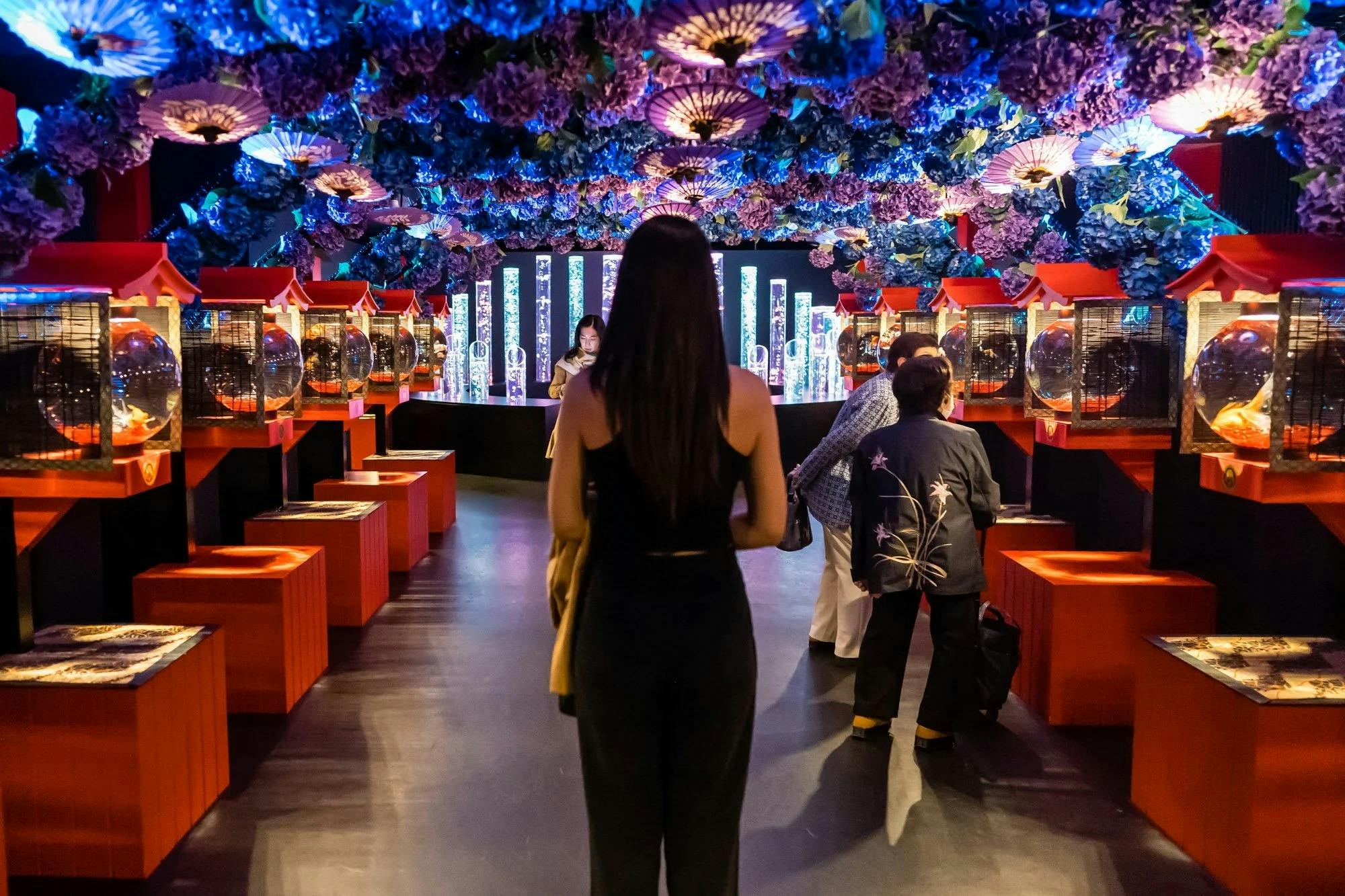 Art Aquarium Museum Tokyo Tickets Price