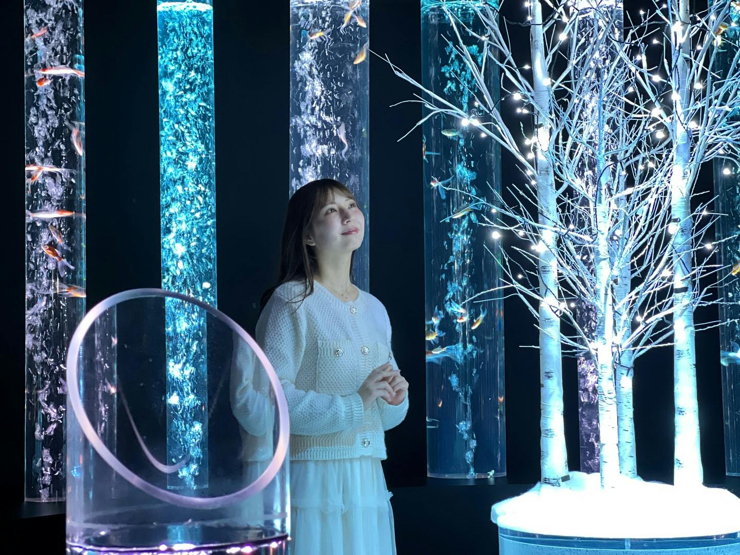 Art Aquarium Museum Tokyo Tickets Location