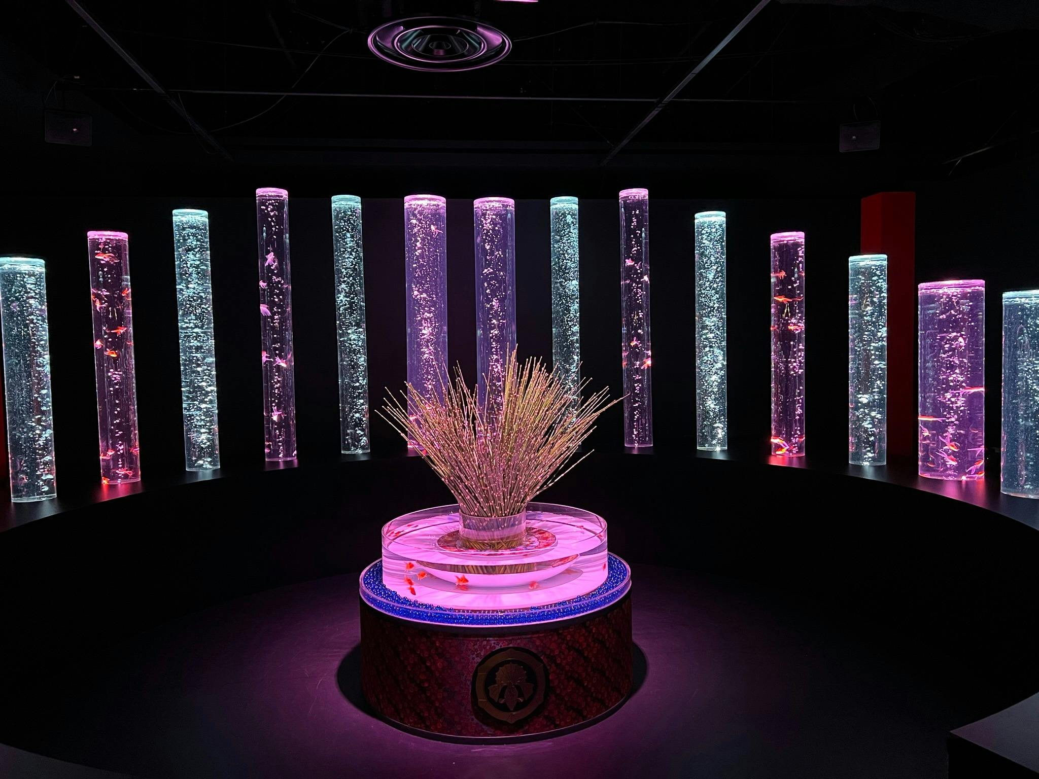 Art Aquarium Museum Tokyo Tickets Discount