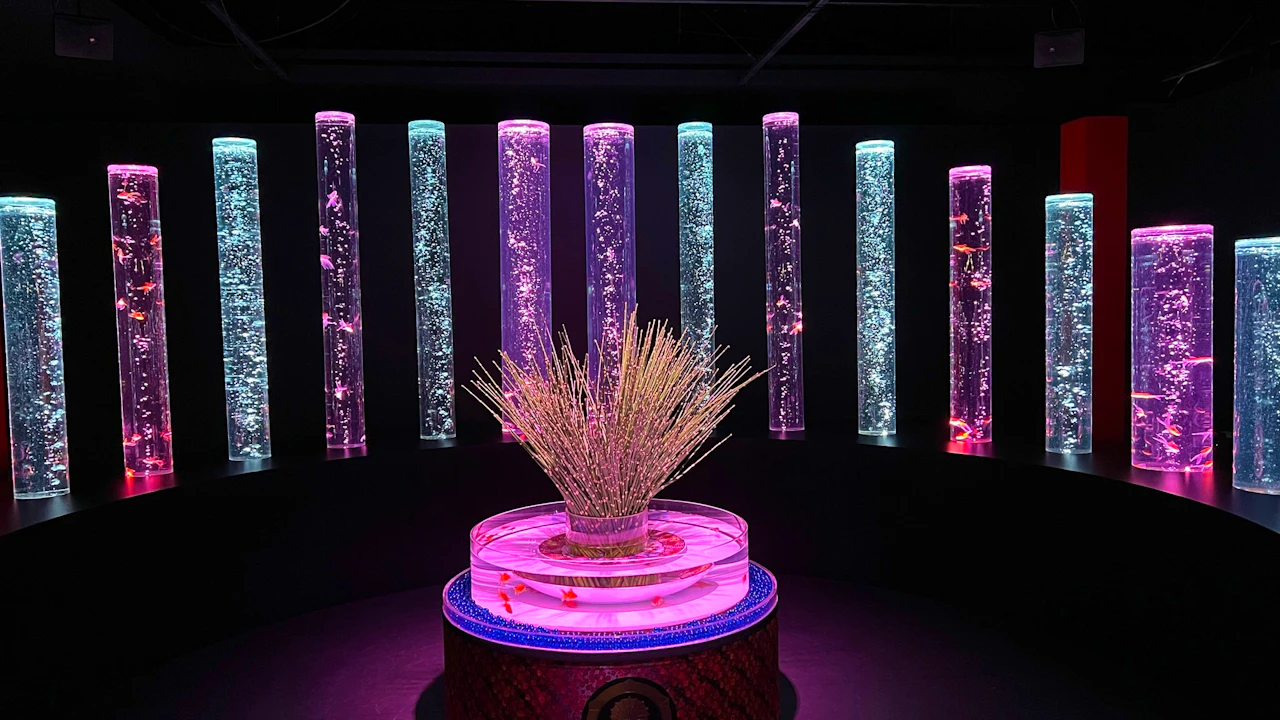 Art Aquarium Museum Tokyo Tickets Discount
